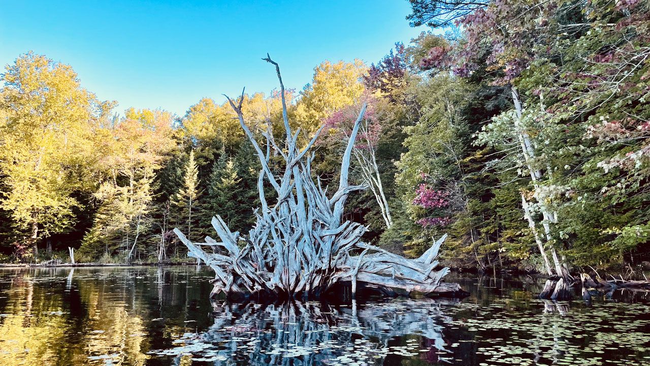 Altarpiece, Green River Reservoir, Vermont